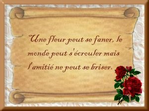 bienvenue & bonne visite 12