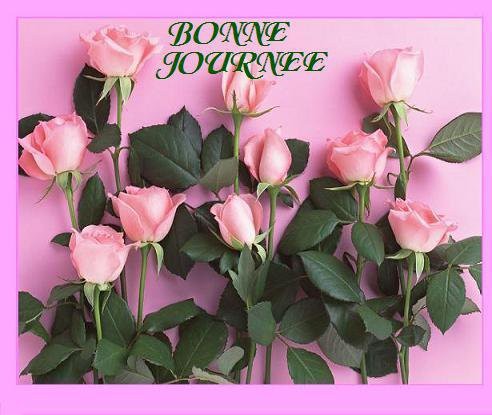 bienvenue & bonne visite 12