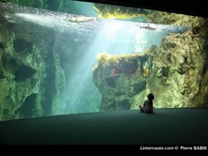 la sirene