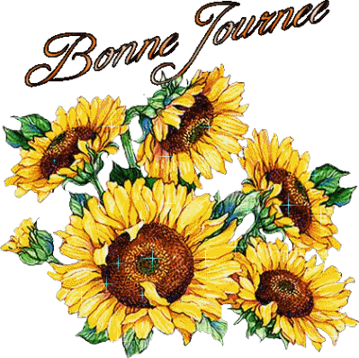 bienvenue & bonne visite 12