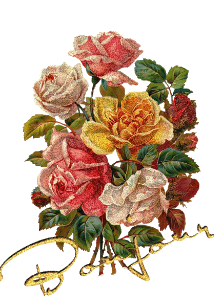 bienvenue & bonne visite 12